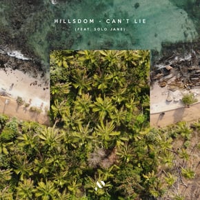 Can't Lie by Hillsdom Cover Art