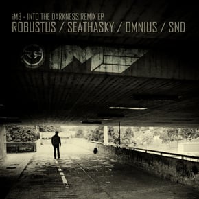 Into The Darkness Remix EP by Robustus, SND, Seathasky & Omnius Cover Art
