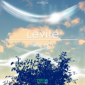 Life by Levite Cover Art