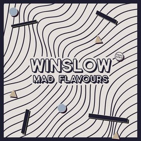 Mad Flavours by Winslow Cover Art