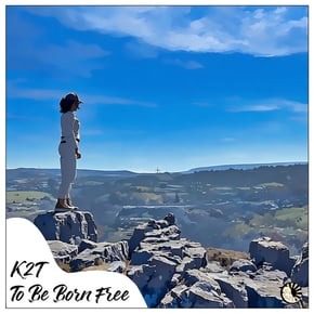 To Be Born Free by K2T Cover Art