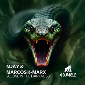 Alone in the Darkness by Marcos K-Marx Cover Art