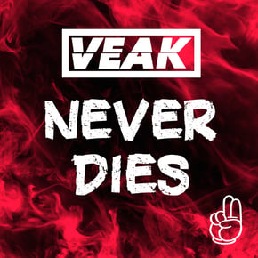 Never Dies by Salaryman & Veak Cover Art