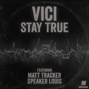 Stay True by Vici Cover Art