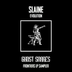 Evolution / Negative (Frontiers LP Sampler) by Slaine Cover Art