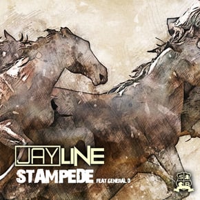 Stampede by Jayline Cover Art
