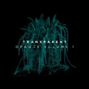 Opaque, Vol. 1 by Transparent Cover Art
