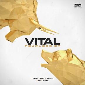 Fearless by Vital Cover Art