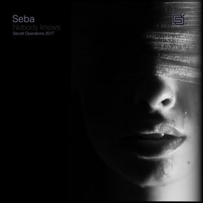Nobody Knows by Seba Cover Art