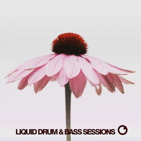 Liquid Drum & Bass Sessions 2020 Vol 10 by Dreazz Cover Art