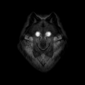 Late Night Operation by Machinedrum Cover Art
