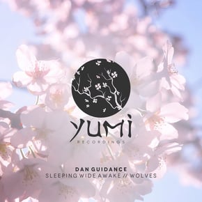 Sleeping Wide Awake / Wolves by Dan Guidance Cover Art