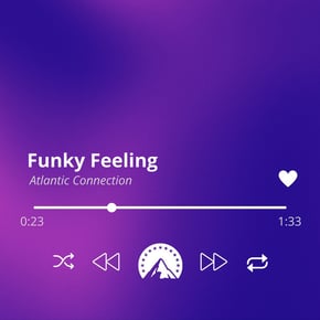 Funky Feeling by Atlantic Connection Cover Art