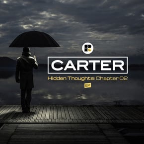 Hidden Thoughts: Chapter 02 by Carter Cover Art