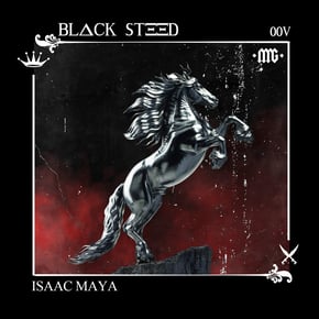 Black Steed by Isaac Maya Cover Art