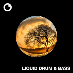 Liquid Drum & Bass Sessions #57 by Dreazz Cover Art
