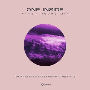 One Inside (After Hours Mix) by Skepsis, Tim van Werd, Marcus Santoro & Mila Falls Cover Art