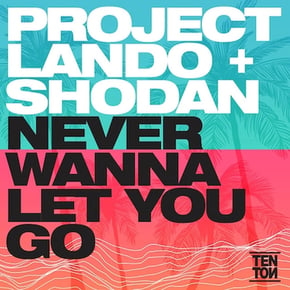 Never Wanna Give You Up by Project Lando & Shodan Cover Art