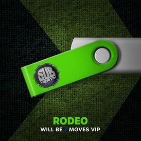 Will be / Moves (VIP) by Rodeo Cover Art