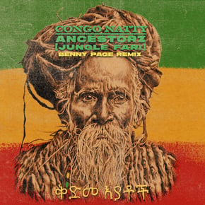 Ancestorz (Jungle Fari) [Benny Page Remixes] by Congo Natty & Benny Page Cover Art
