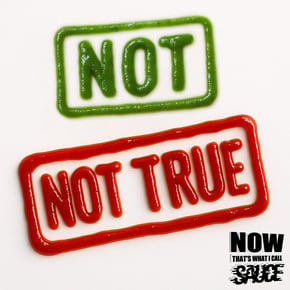 Not Not True (Zero T Remix) by The Sauce & Zero T Cover Art