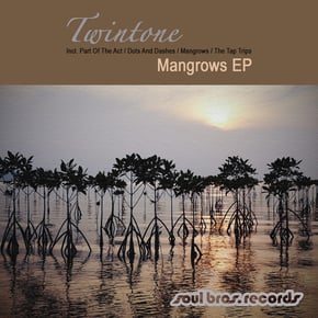 Mangrows EP by Dan Guidance & Twintone Cover Art
