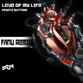LOVE OF MY LIFE REMIX by Fanu Cover Art