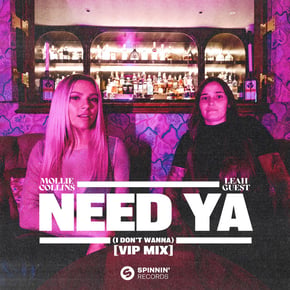 Need Ya (I Don't Wanna) [VIP Mix] by Mollie Collins Cover Art
