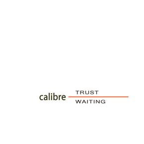 Trust / Waiting (2024 Remasters) by Calibre Cover Art