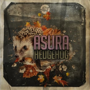 Hedgehog by Asura Cover Art
