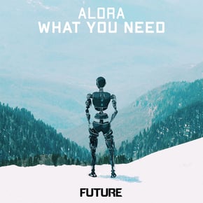 What You Need by Alora Cover Art