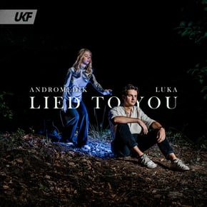 Lied To You by Andromedik Cover Art
