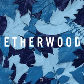 Blue Leaves by Etherwood Cover Art