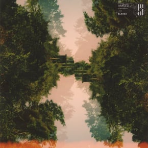Cloudfish by In:Most Cover Art