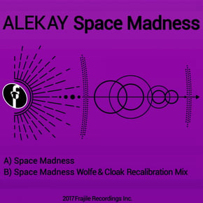 Space Madness by Alekay Cover Art