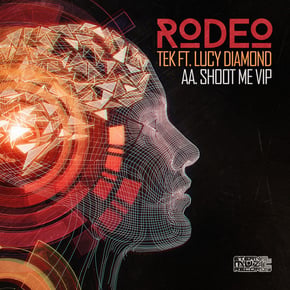 Tek by Hannah Eve, Rodeo & Lucy Diamond Cover Art