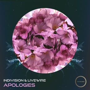 Apologies by Indivision Cover Art