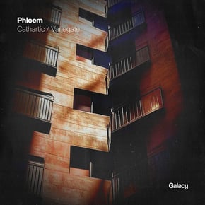 Cathartic / Variegate by Phloem Cover Art