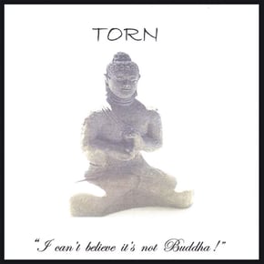 I Can't Believe It's Not Buddha! by Torn Cover Art