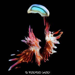 I Found You (Grafix Remix) by Sub Focus, Grafix & HAYLA Cover Art