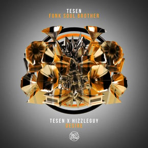 Funk Soul Brother by Tesen Cover Art