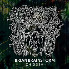 Oh Gosh by Brian Brainstorm Cover Art