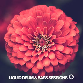Liquid Drum & Bass Sessions 2020 Vol 8 by Dreazz Cover Art