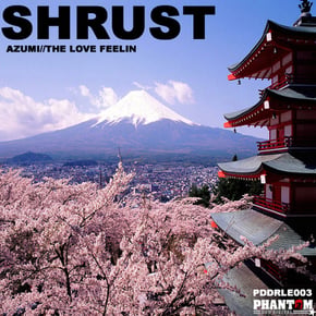 Azumi / The Love Feelin by Shrust Cover Art