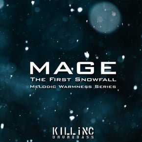 The First Snowfall by Mage Cover Art