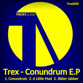 Conundrum by Teej & Trex Cover Art