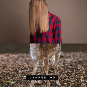 Linked 003 by Phace & Subtension Cover Art