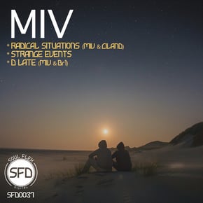 Radical Situations by Miv Cover Art