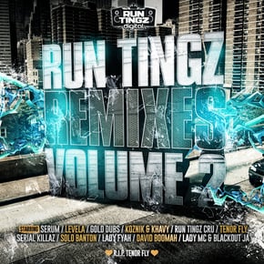 Run Tingz Remixes, Vol. 2 by Run Tingz Cru Cover Art