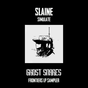 Simulate by Slaine Cover Art